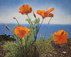poppies white oil painting