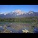 Pyramid Mountain Jasper